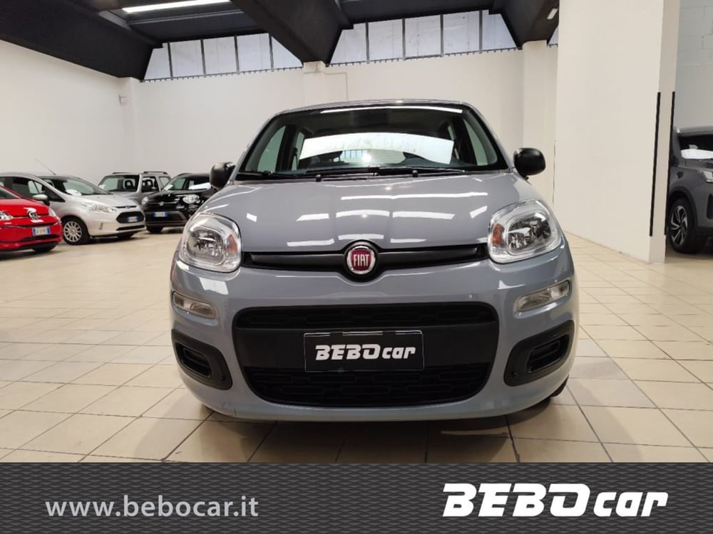 Fiat Panda Cross usata a Torino (2)