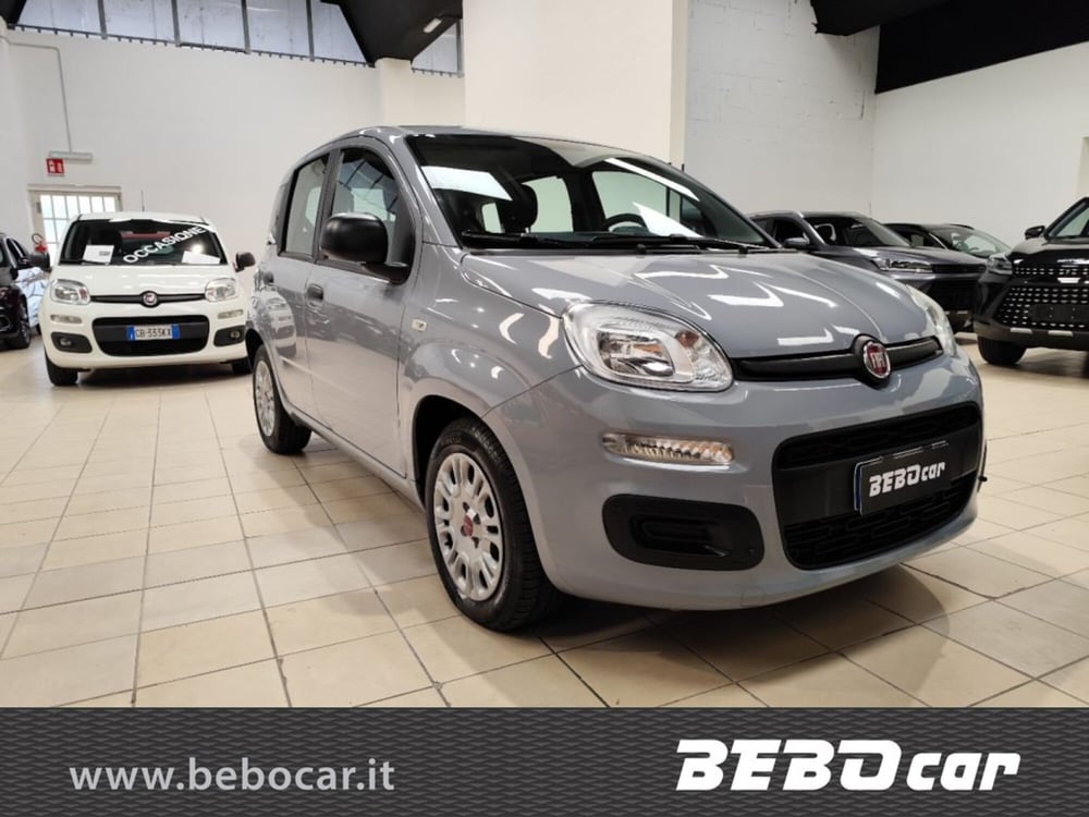 Fiat Panda Cross usata a Torino (3)
