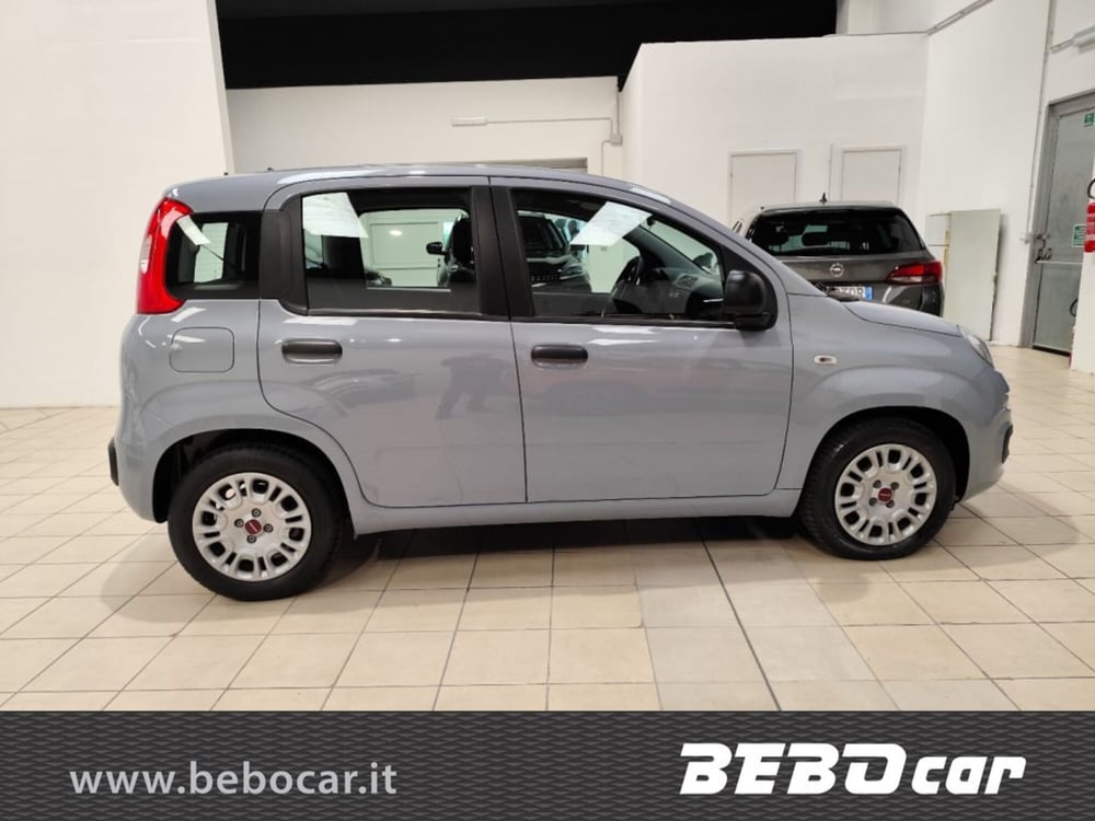 Fiat Panda Cross usata a Torino (5)