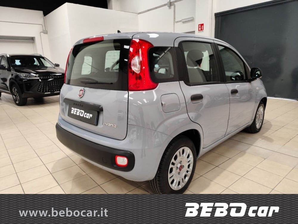 Fiat Panda Cross usata a Torino (6)