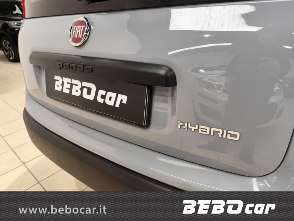 Fiat Panda Cross usata a Torino (7)