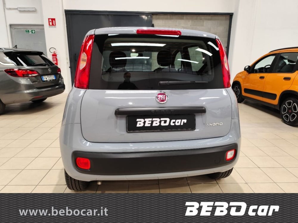 Fiat Panda Cross usata a Torino (8)
