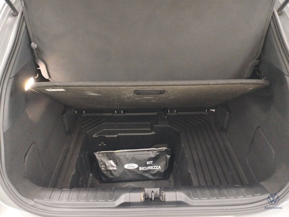 Ford Puma usata a Catanzaro (20)