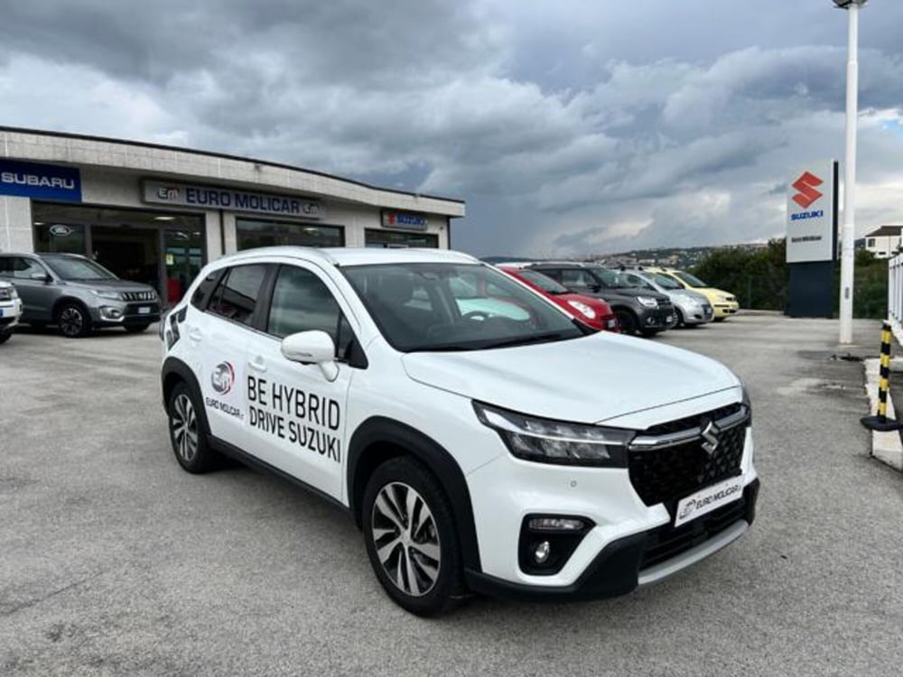 Suzuki S-Cross usata a Campobasso