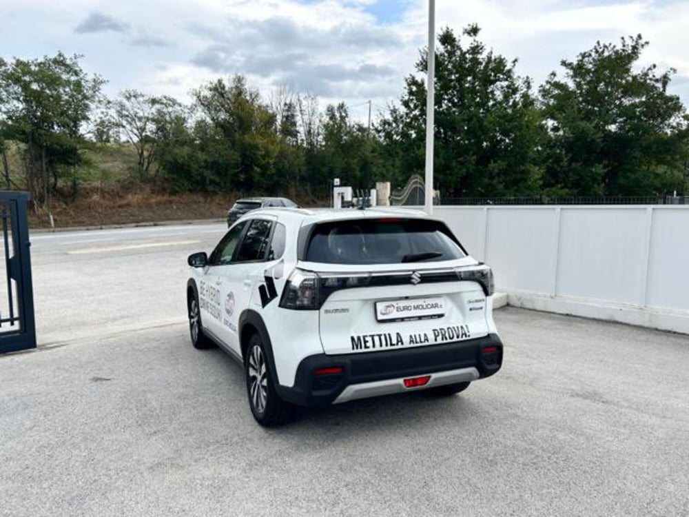 Suzuki S-Cross usata a Campobasso (4)