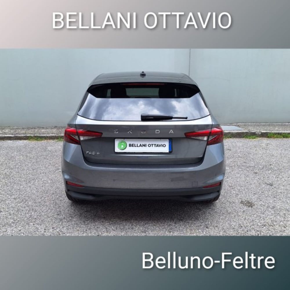 Skoda Fabia usata a Belluno (5)