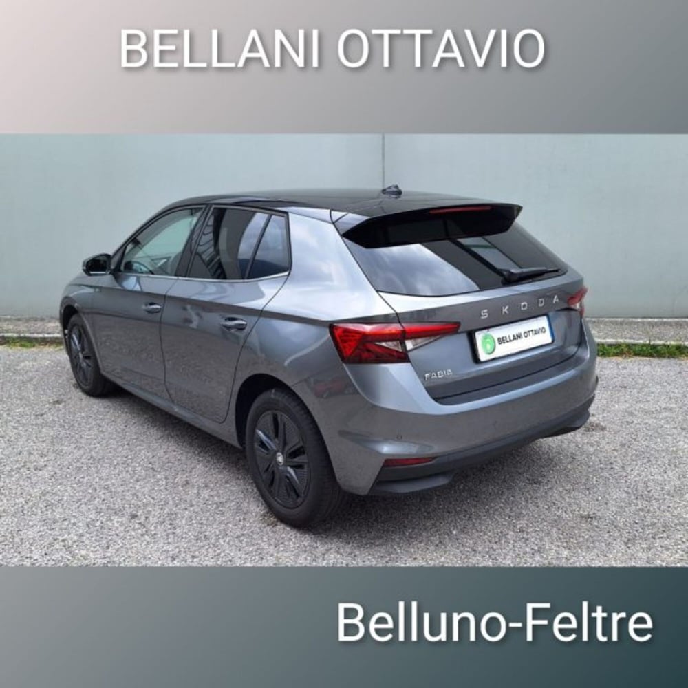Skoda Fabia usata a Belluno (6)