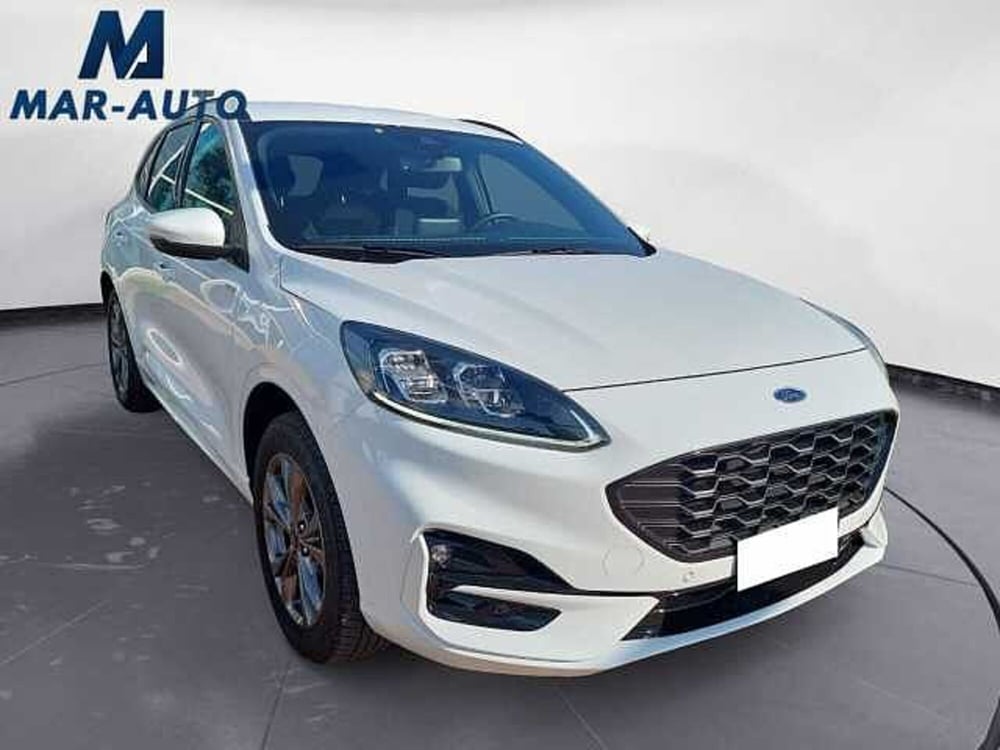 Ford Kuga usata a Treviso (6)