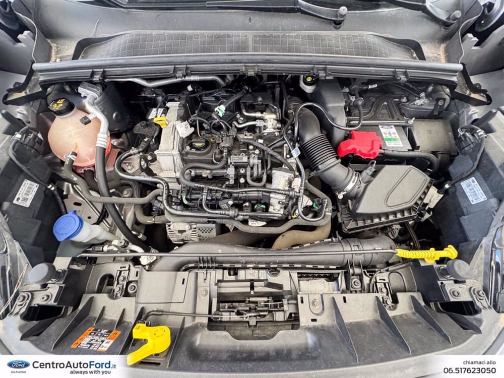 Ford Puma usata a Roma (12)