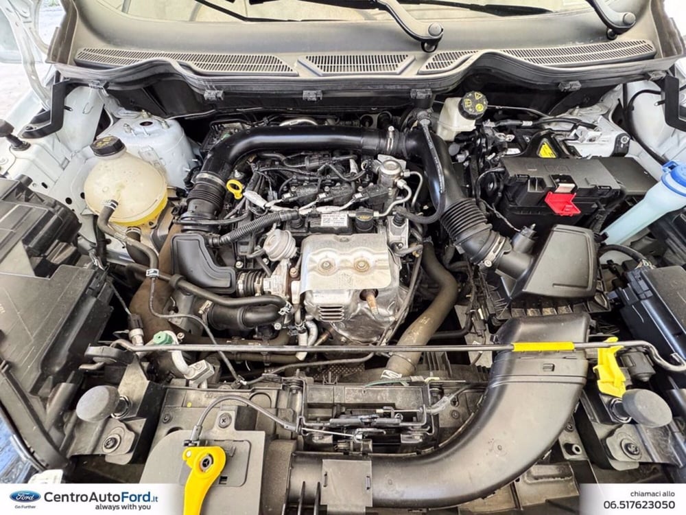 Ford EcoSport usata a Roma (12)