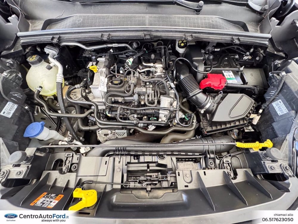 Ford Puma usata a Roma (12)