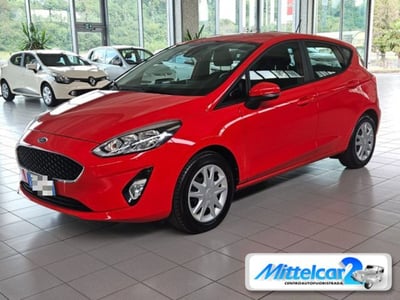 Ford Fiesta 1.1 75 CV GPL 5 porte Plus del 2019 usata a Cassacco