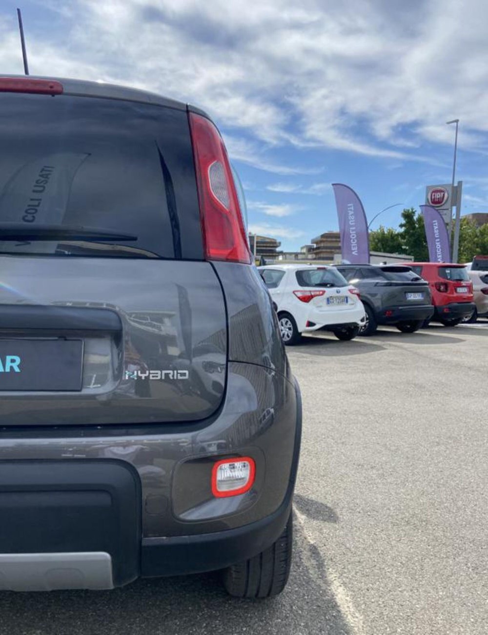 Fiat Panda usata a Firenze (17)