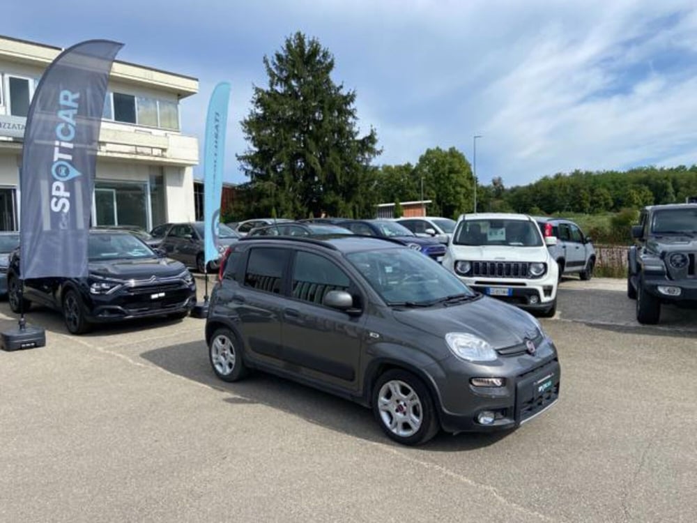 Fiat Panda usata a Firenze (3)
