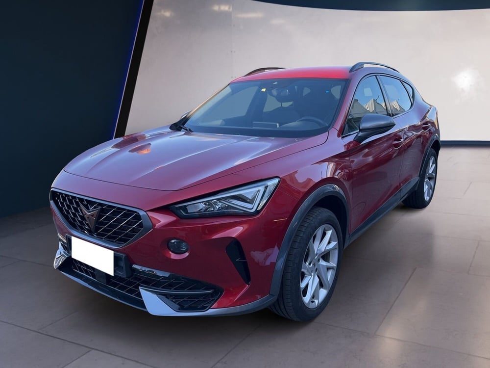 Cupra Formentor usata a Torino (3)