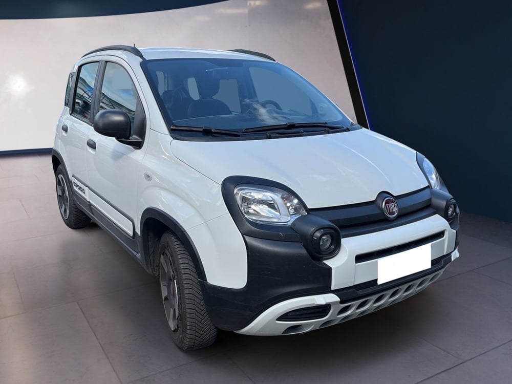 Fiat Panda usata a Torino (2)