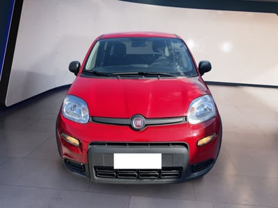 Fiat Panda 1.0 firefly hybrid s&amp;s 70cv 5p.ti del 2024 usata a Torino