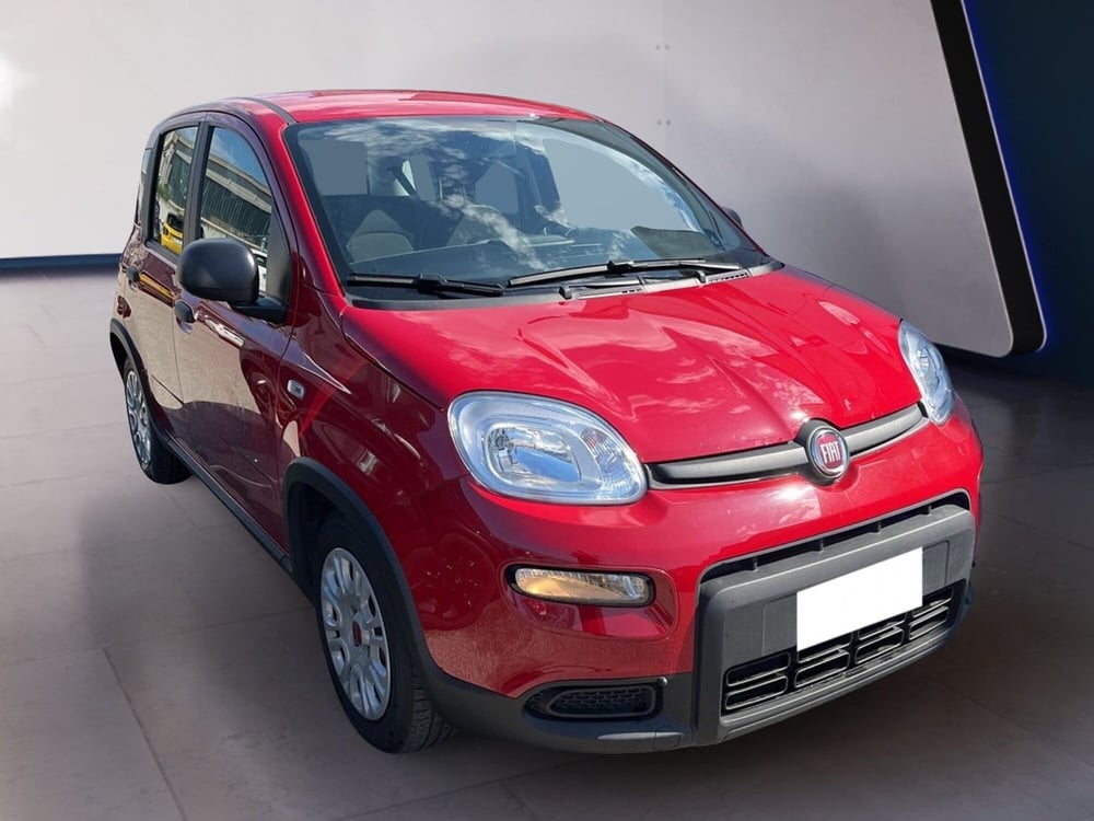 Fiat Panda usata a Torino (3)