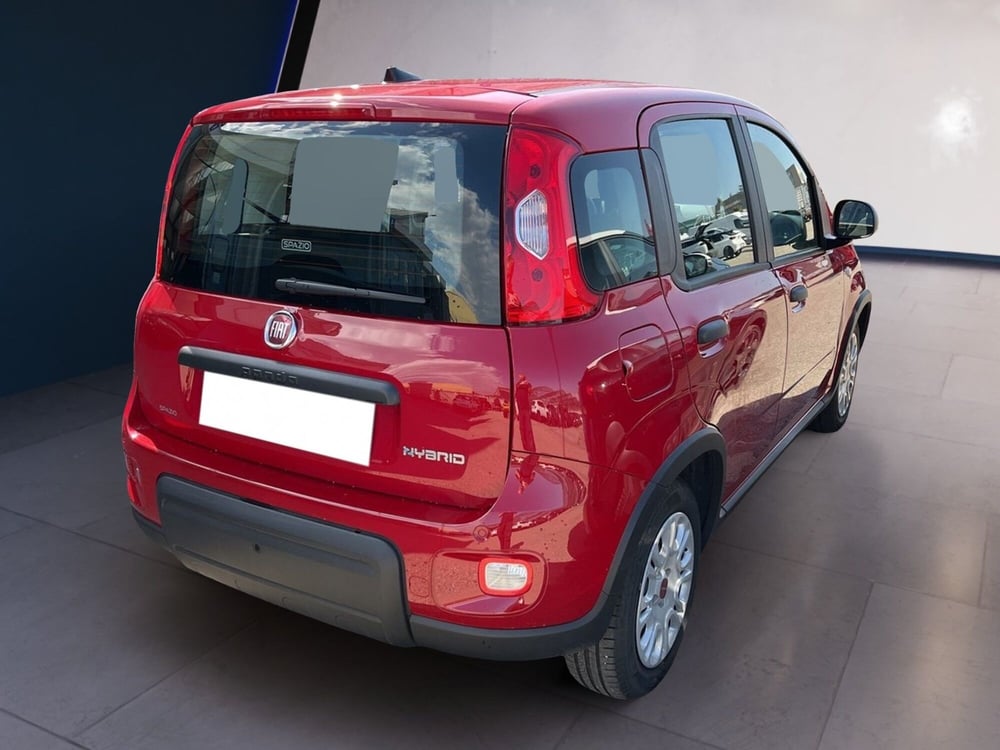 Fiat Panda usata a Torino (4)