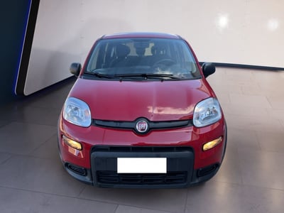 Fiat Panda 1.0 firefly hybrid s&amp;s 70cv 5p.ti del 2024 usata a Torino