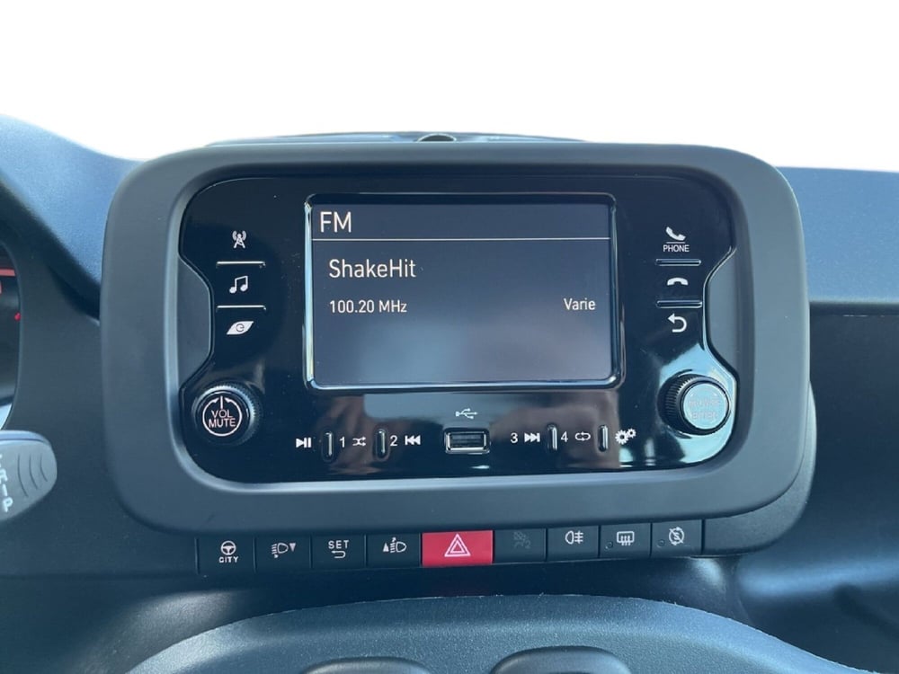 Fiat Panda usata a Torino (14)