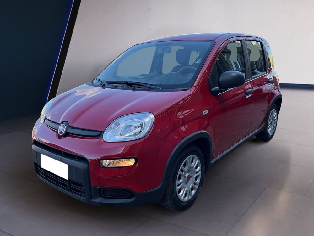 Fiat Panda usata a Torino (2)