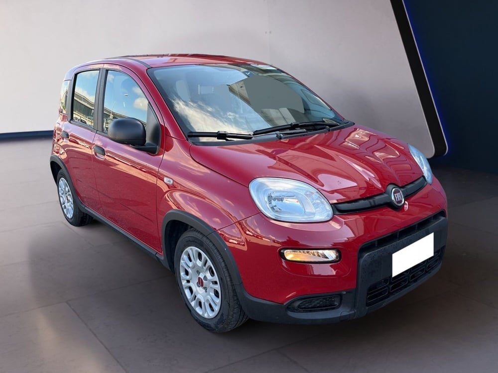 Fiat Panda usata a Torino (3)