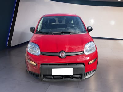 Fiat Panda 1.0 firefly hybrid s&amp;s 70cv 5p.ti del 2024 usata a Torino