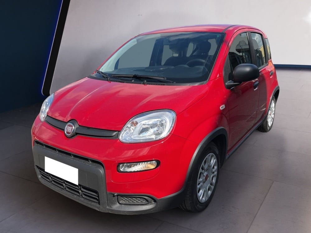 Fiat Panda usata a Torino (2)