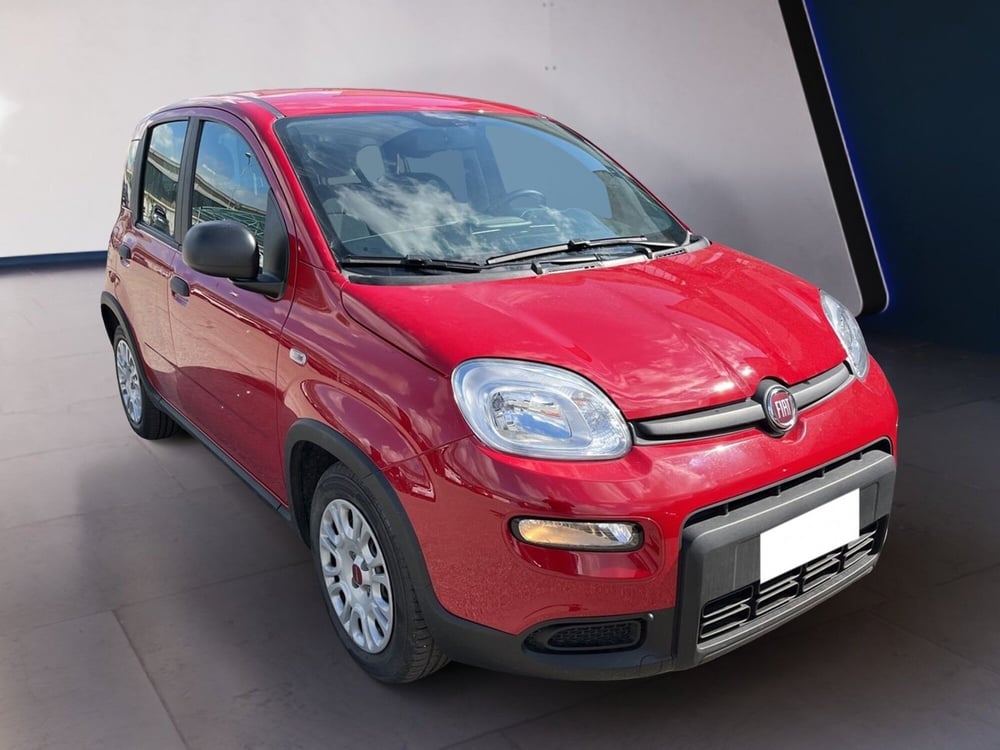 Fiat Panda usata a Torino (3)