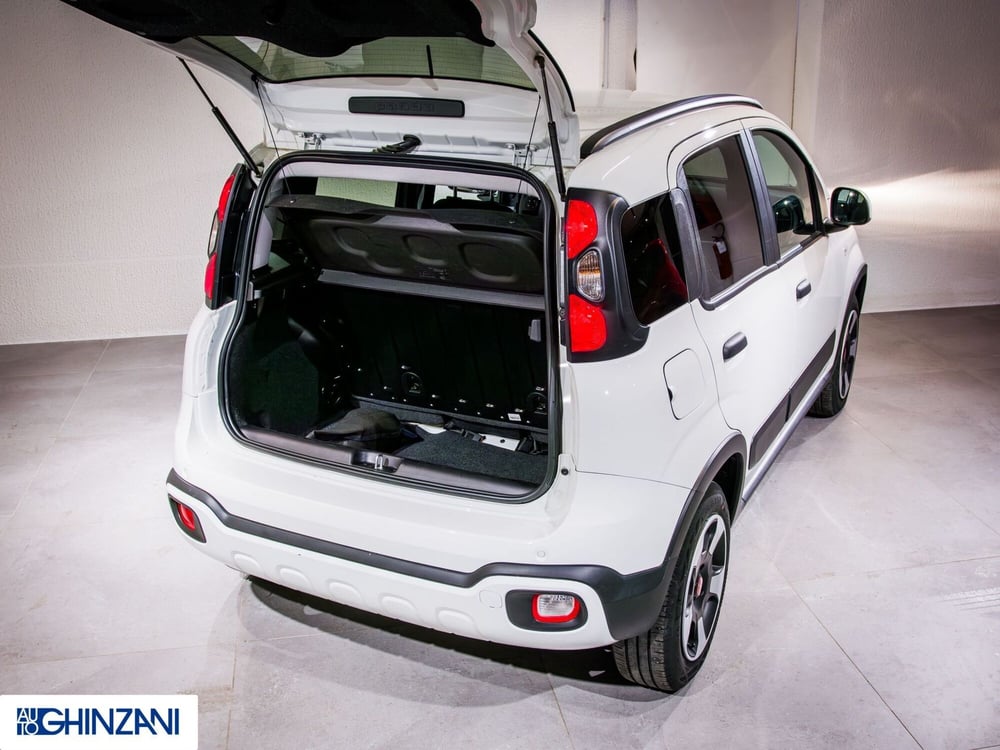 Fiat Panda Cross usata a Bergamo (12)