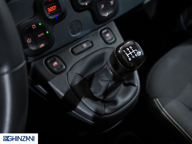 Fiat Panda Cross usata a Bergamo (16)