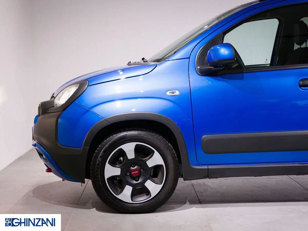 Fiat Panda Cross usata a Bergamo (9)
