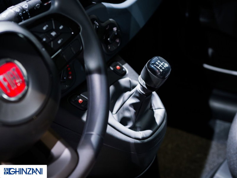 Fiat Panda Cross nuova a Bergamo (15)