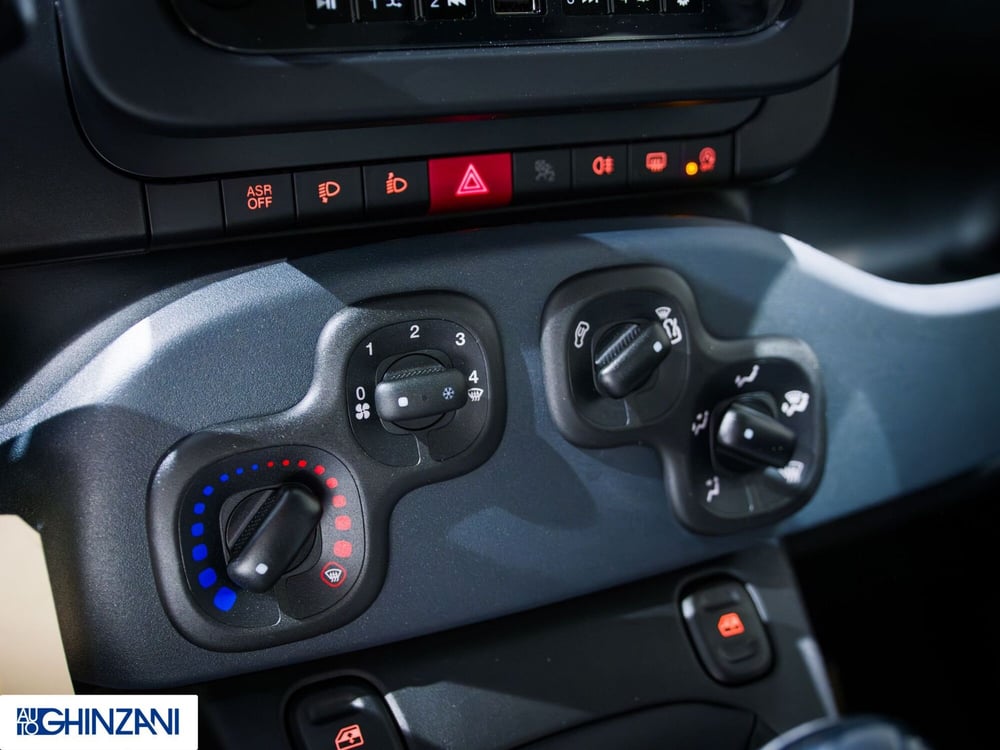 Fiat Panda Cross nuova a Bergamo (15)