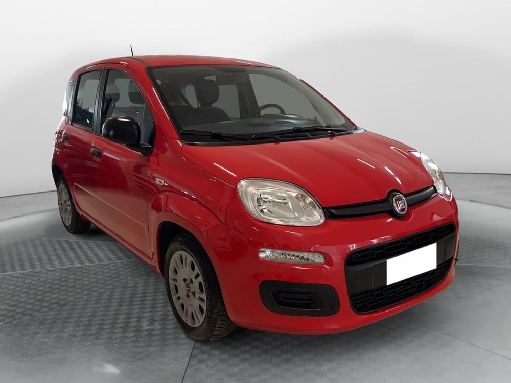 Fiat Panda usata a Pisa