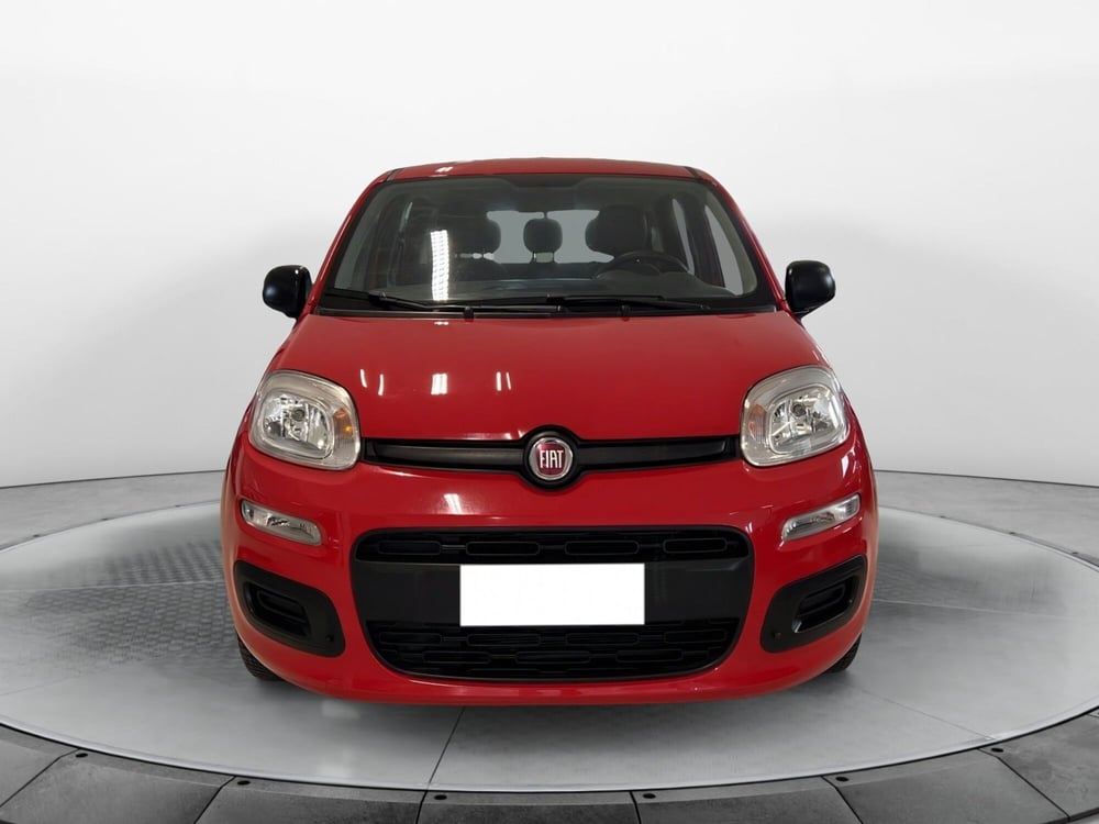 Fiat Panda usata a Pisa (2)
