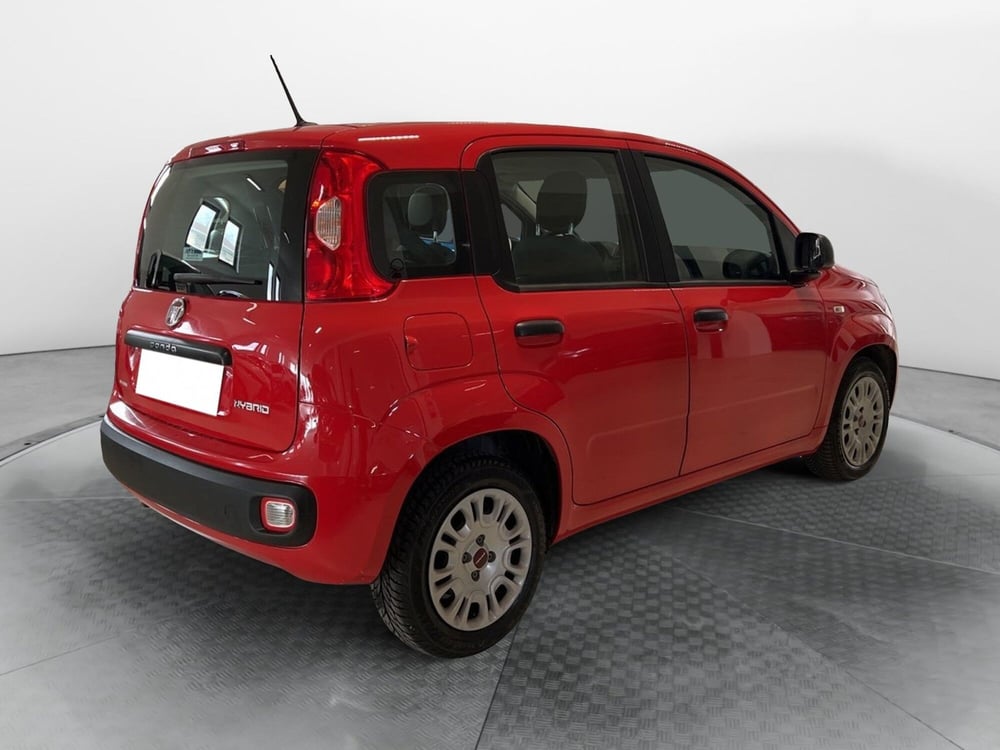 Fiat Panda usata a Pisa (5)