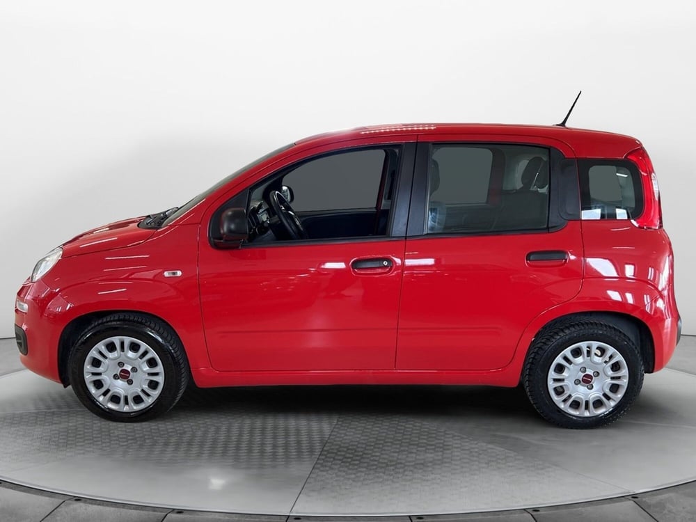 Fiat Panda usata a Pisa (6)
