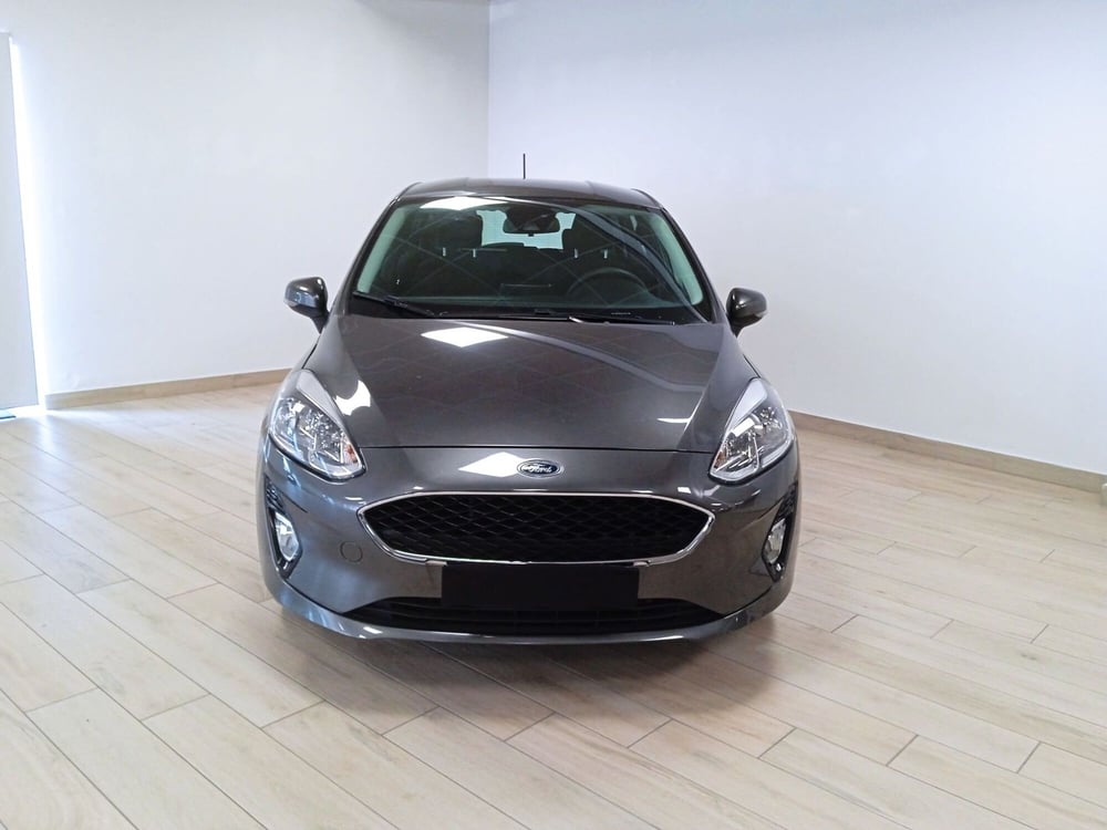 Ford Fiesta usata a Torino (2)