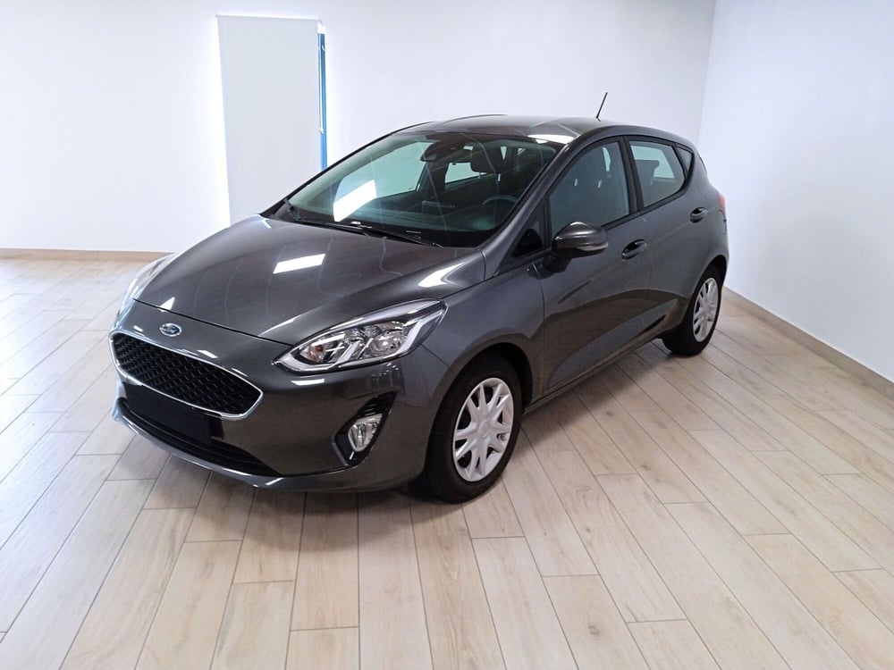 Ford Fiesta usata a Torino (3)