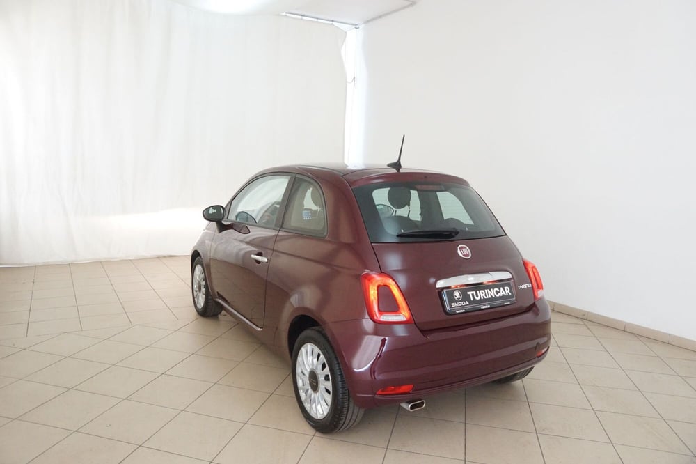 Fiat 500 usata a Torino (19)