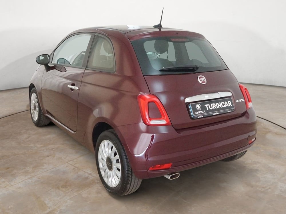Fiat 500 usata a Torino (4)