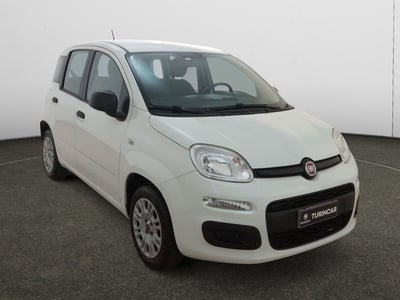 Fiat Panda 1.2 Easy del 2019 usata a Torino