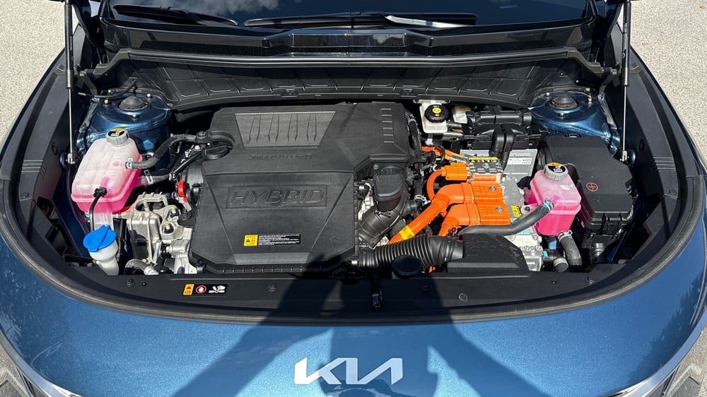 Kia Niro usata a Treviso (16)