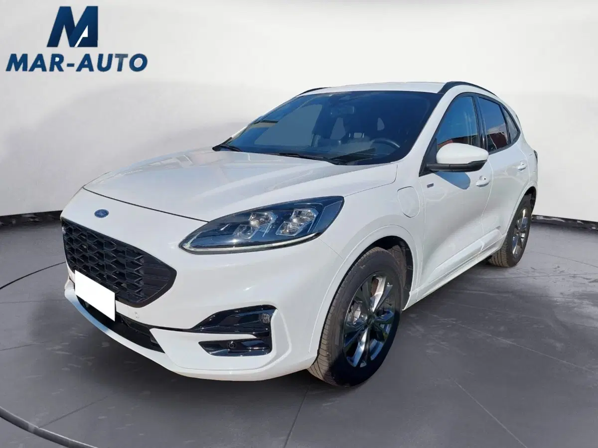 Ford Kuga usata a Treviso