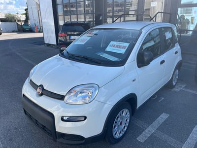 Fiat Panda Cross Cross 1.0 FireFly S&amp;S Hybrid nuova a Altopascio