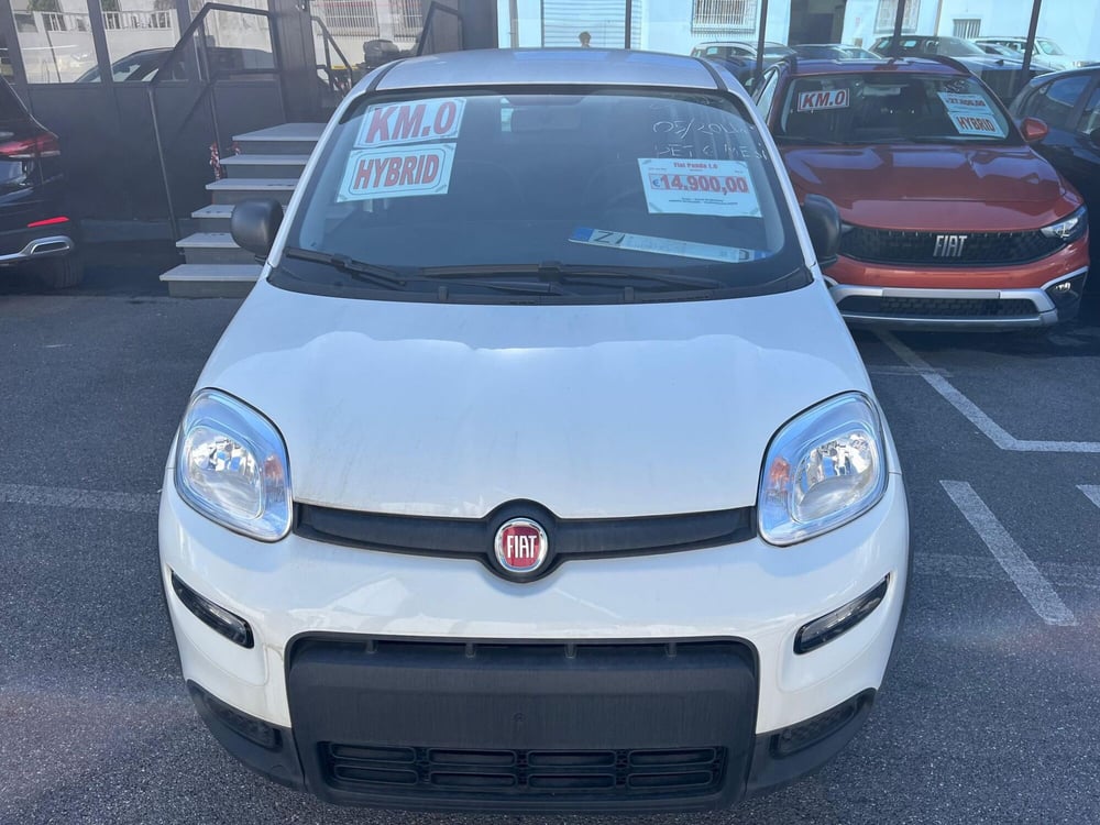 Fiat Panda Cross nuova a Lucca (2)