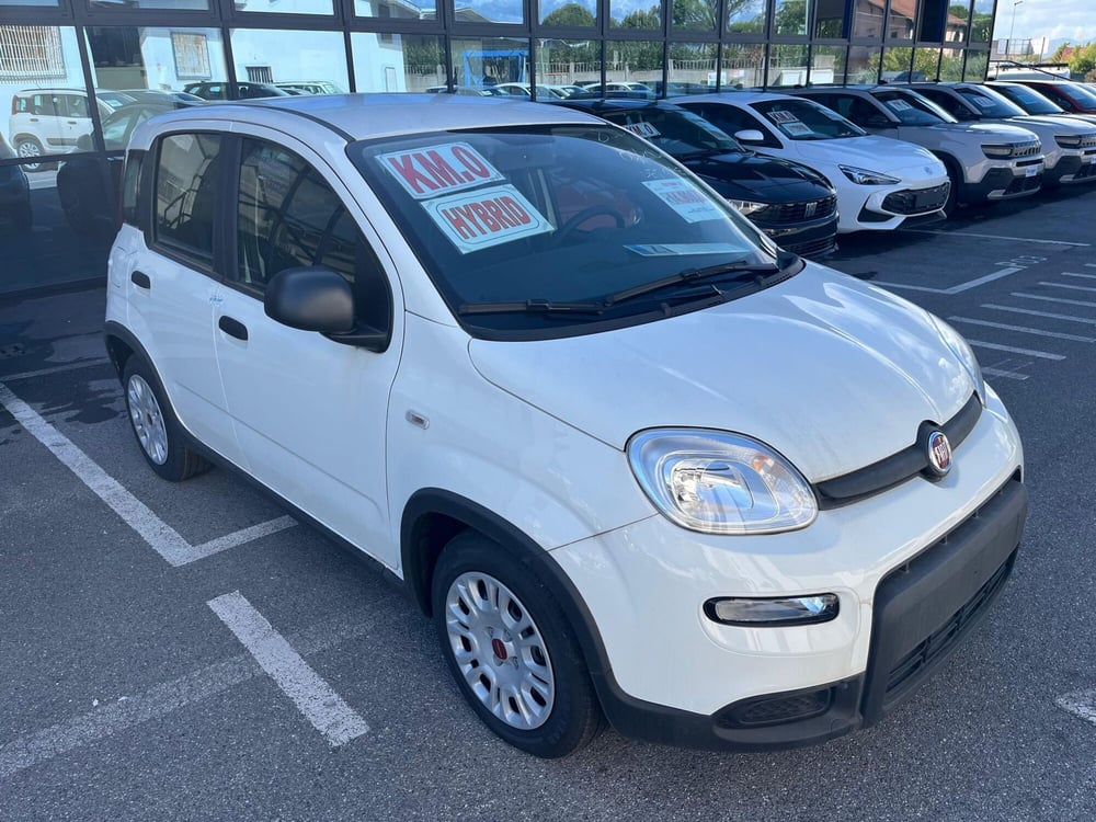 Fiat Panda Cross nuova a Lucca (3)