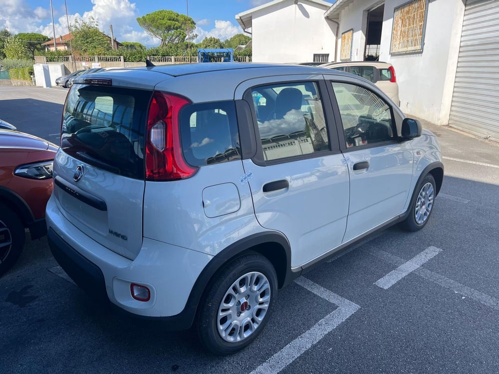 Fiat Panda Cross nuova a Lucca (5)